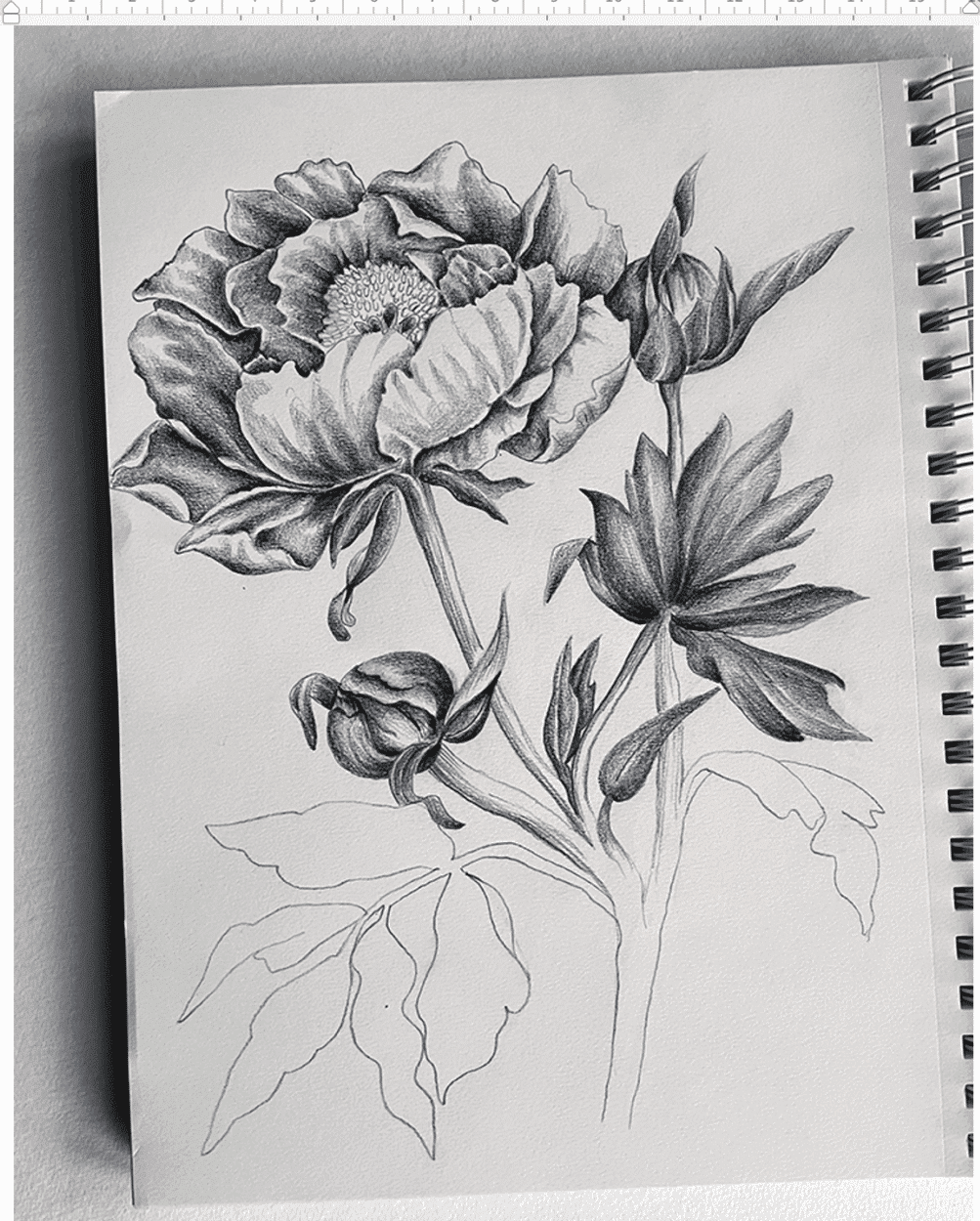 flower Vanina